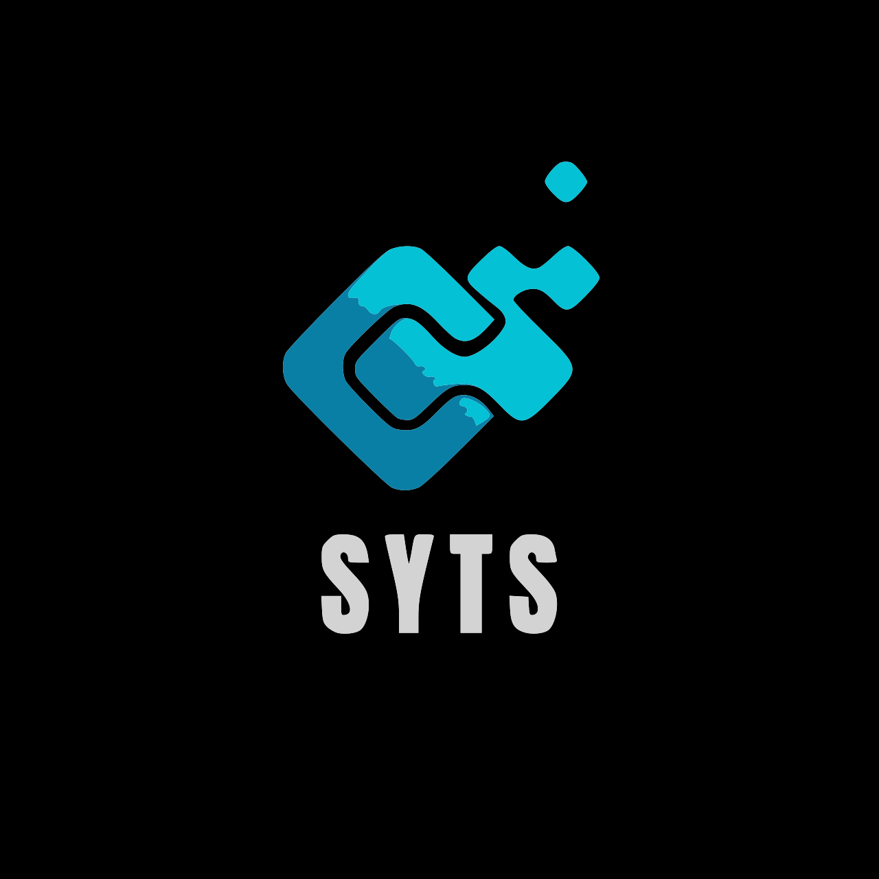 SYTS Finance