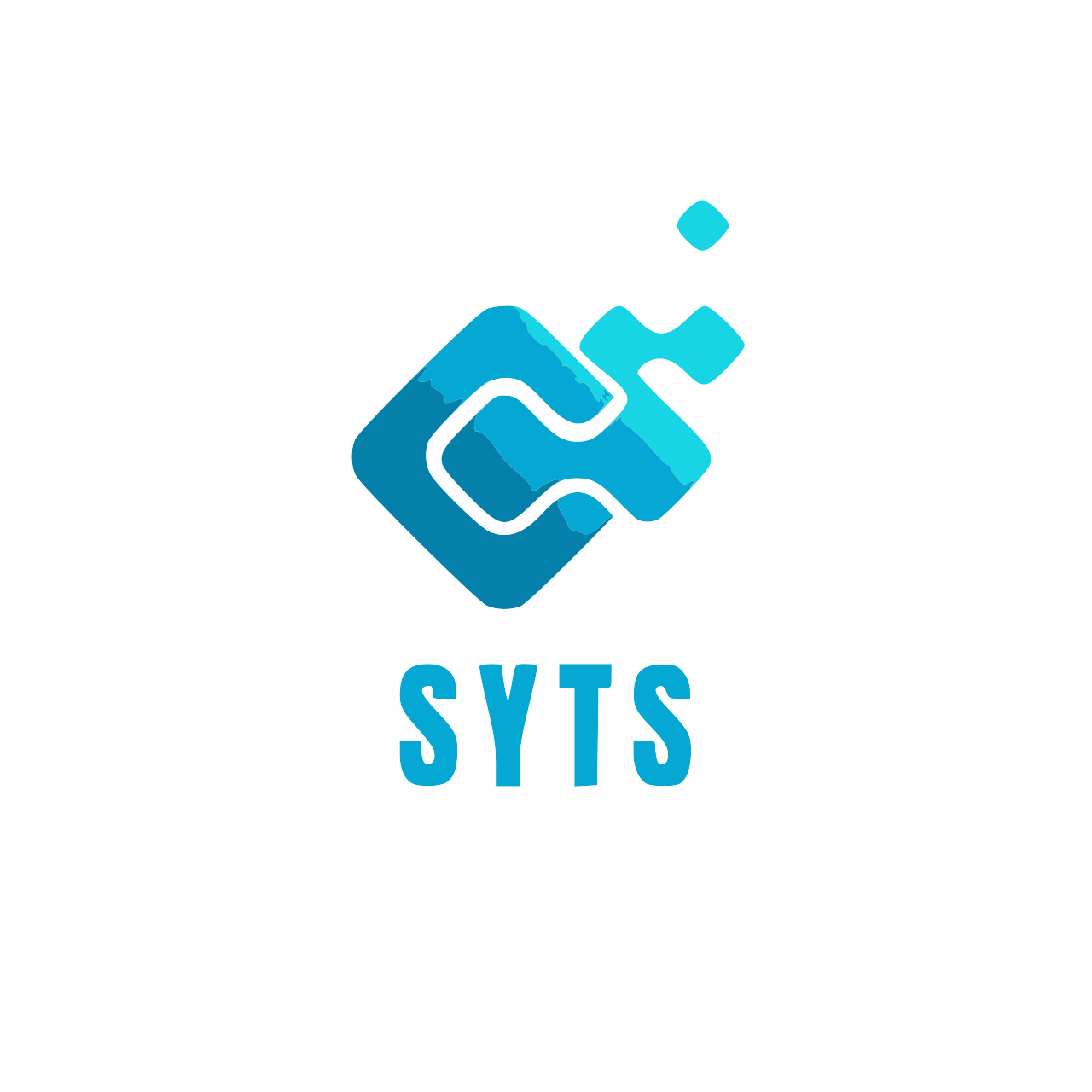 SYTS Consulting